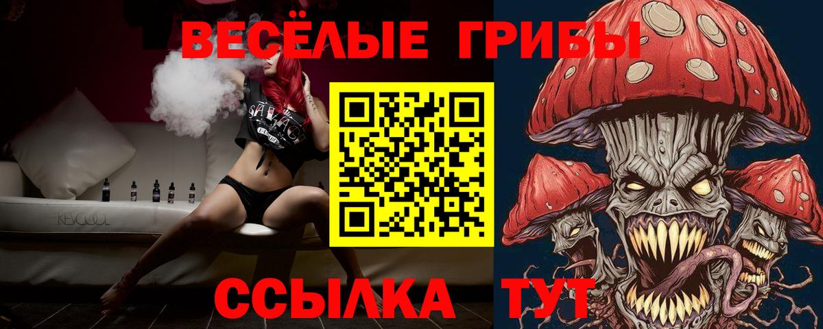 Псилоцибиновые грибы мицелий  Вход с VPN  Владимир 