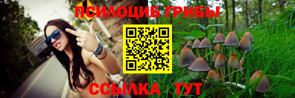 Псилоцибиновые грибы Psilocybe Владимир
